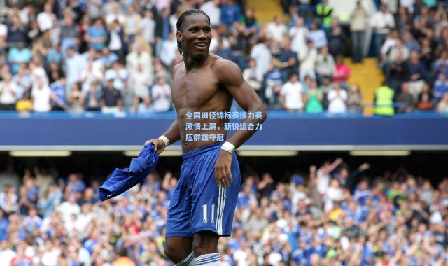 全国田径锦标赛接力赛激情上演，新锐组合力压群雄夺冠