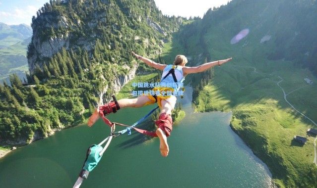 中国跳水队再创辉煌 包揽世锦赛全部金牌