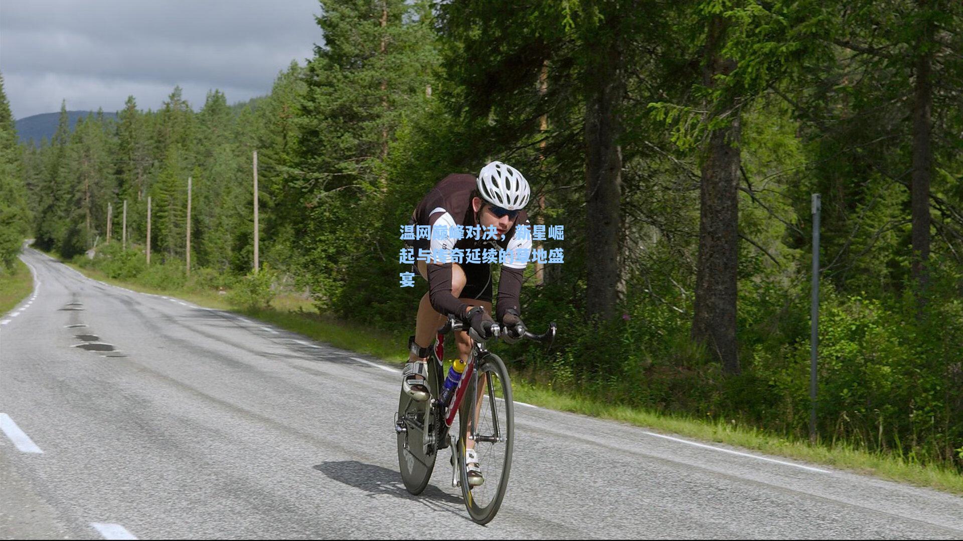 温网巅峰对决,新星崛起与传奇延续的草地盛宴